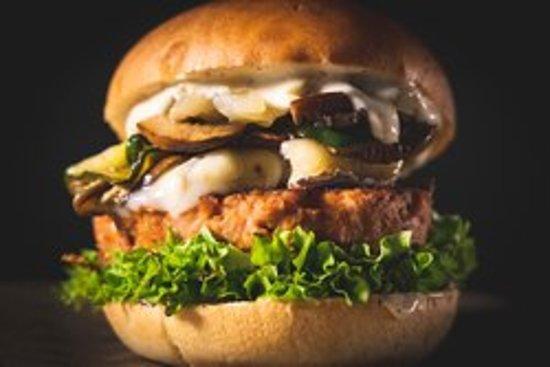 The Black Turtle Abastos